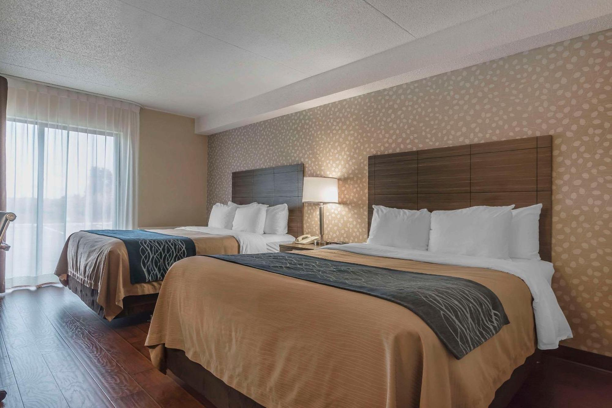 Comfort Inn Levis Ngoại thất bức ảnh