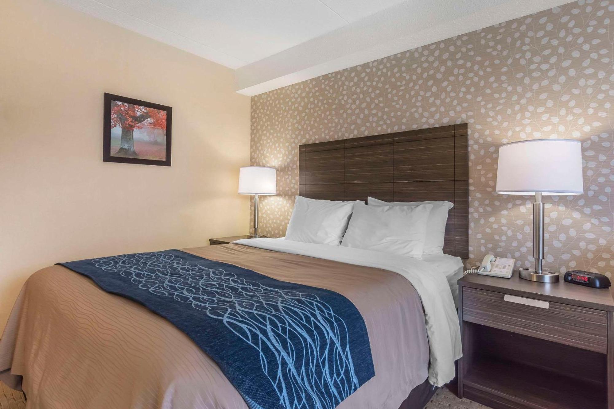 Comfort Inn Levis Ngoại thất bức ảnh