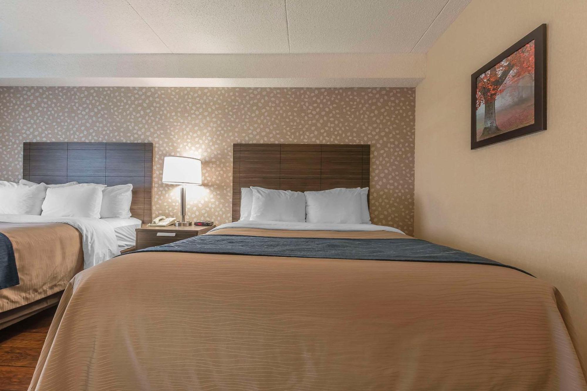 Comfort Inn Levis Ngoại thất bức ảnh