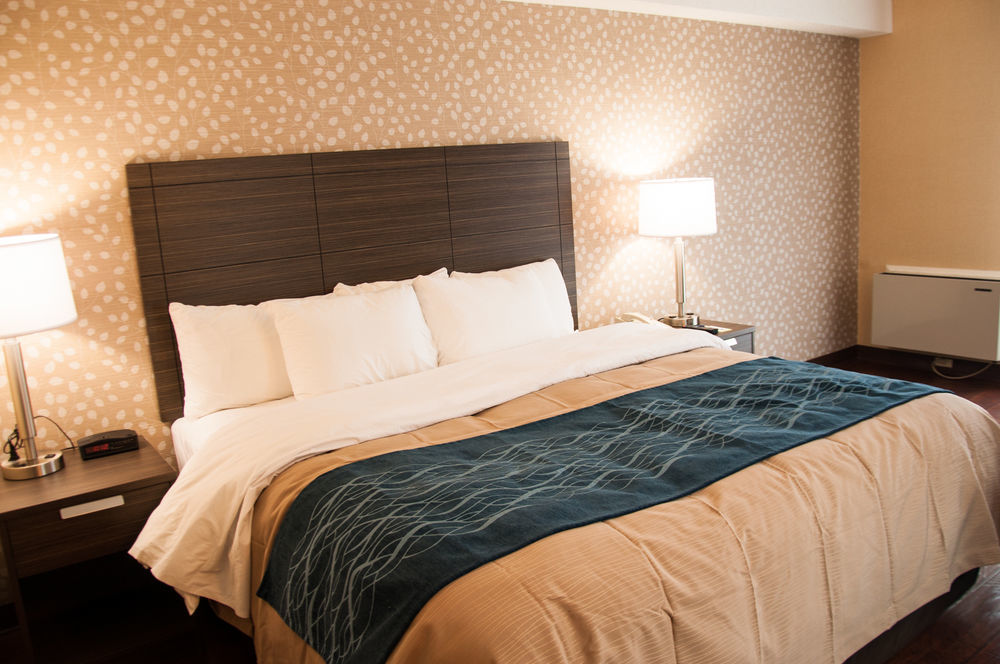 Comfort Inn Levis Ngoại thất bức ảnh