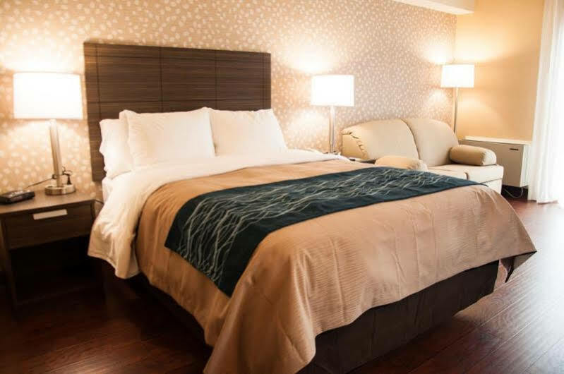 Comfort Inn Levis Ngoại thất bức ảnh