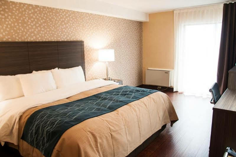 Comfort Inn Levis Ngoại thất bức ảnh
