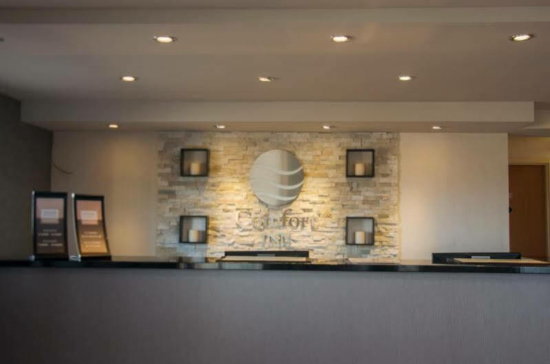 Comfort Inn Levis Ngoại thất bức ảnh