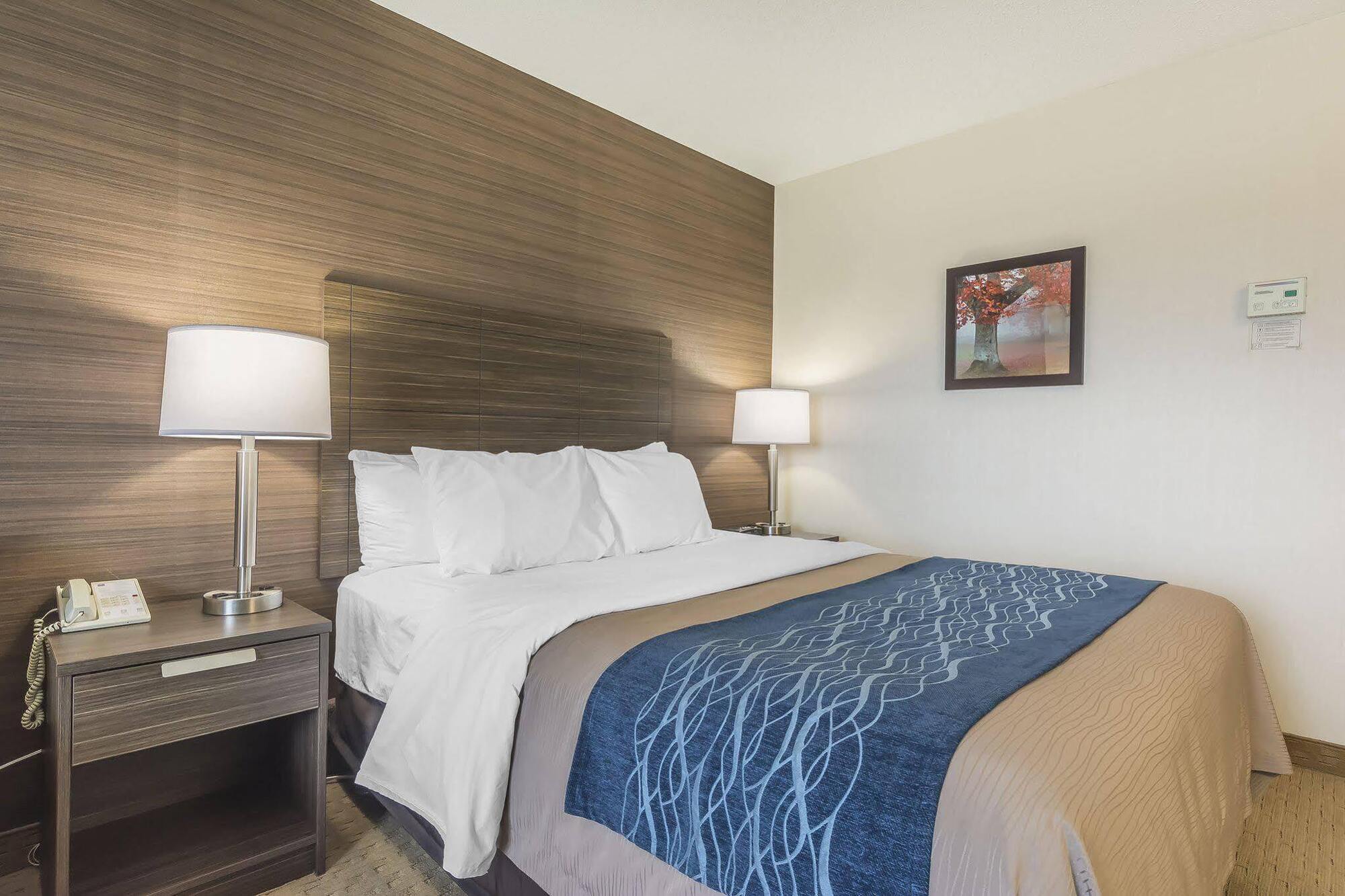 Comfort Inn Levis Ngoại thất bức ảnh